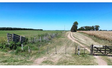 Vendo Campo de 349 hectáreas en Gualeguaychú, Entre Ríos.