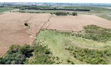 Vendo Campo de 349 hectáreas en Gualeguaychú, Entre Ríos.