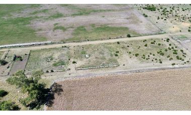 Vendo Campo de 349 hectáreas en Gualeguaychú, Entre Ríos.