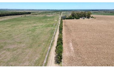 Vendo Campo de 349 hectáreas en Gualeguaychú, Entre Ríos.