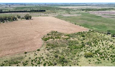 Vendo Campo de 349 hectáreas en Gualeguaychú, Entre Ríos.