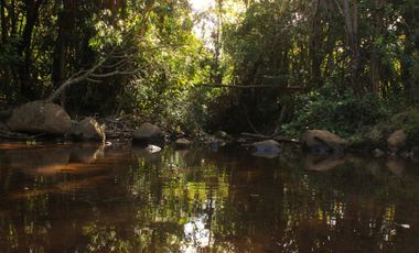 Parcela en venta  en LONGAVÍ
