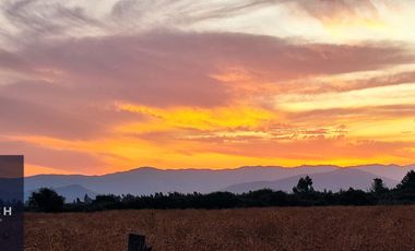 Parcela en venta de 5000m2 ubicado en Santa Cruz