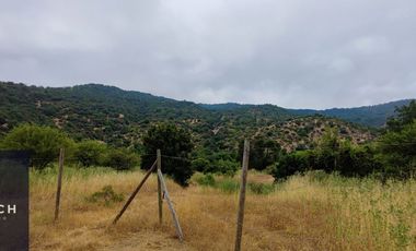 Parcela en venta de 5000m2 ubicado en Santa Cruz