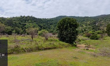 Parcela en venta de 5000m2 ubicado en Santa Cruz