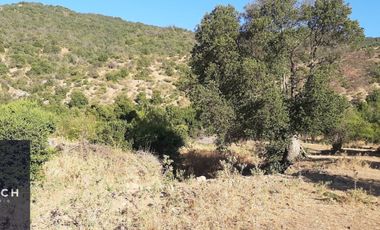 Parcela en venta de 5000m2 ubicado en Santa Cruz