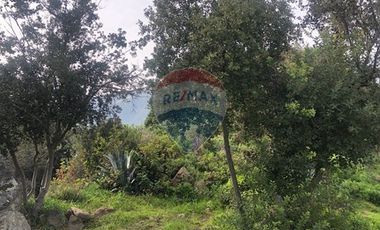 Casa sólida 5D 2B, quincho - CURACAVÍ