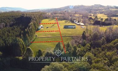 Parcela 1 hectárea con Bosque nativo y Pradera en Panguipulli Los Tallos