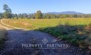 Parcela 1 hectárea con Bosque nativo y Pradera en Panguipulli Los Tallos