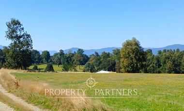Parcela 1 hectárea con Bosque nativo y Pradera en Panguipulli Los Tallos