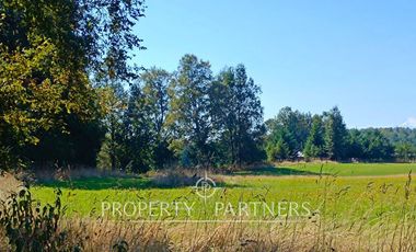 Parcela 1 hectárea con Bosque nativo y Pradera en Panguipulli Los Tallos