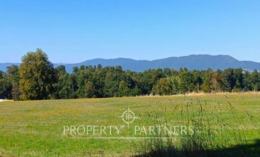 Parcela 1 hectárea con Bosque nativo y Pradera en Panguipulli Los Tallos