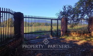 Parcela 1 hectárea con Bosque nativo y Pradera en Panguipulli Los Tallos
