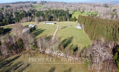 Parcela 1 hectárea con Bosque nativo y Pradera en Panguipulli Los Tallos
