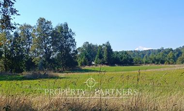 Parcela 1 hectárea con Bosque nativo y Pradera en Panguipulli Los Tallos