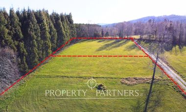 Parcela 1 hectárea con Bosque nativo y Pradera en Panguipulli Los Tallos