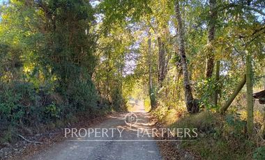 Parcela 1 hectárea con Bosque nativo y Pradera en Panguipulli Los Tallos