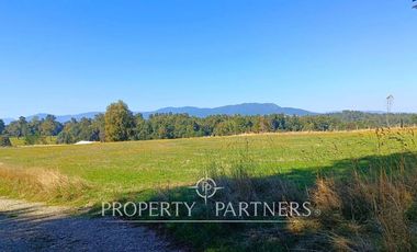 Parcela 1 hectárea con Bosque nativo y Pradera en Panguipulli Los Tallos