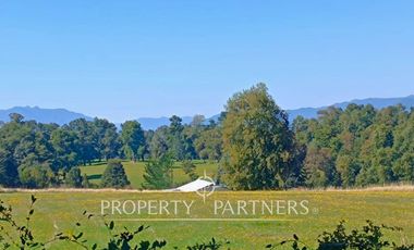 Parcela 1 hectárea con Bosque nativo y Pradera en Panguipulli Los Tallos