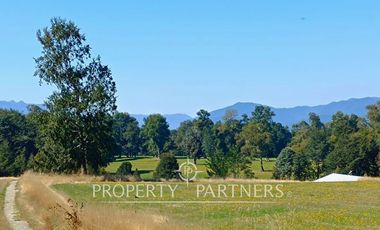 Parcela 1 hectárea con Bosque nativo y Pradera en Panguipulli Los Tallos