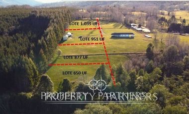 Parcela 1 hectárea con Bosque nativo y Pradera en Panguipulli Los Tallos