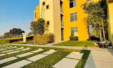 VENTA DEPARTAMENTO: SAUCE, TECAMAC: Planta Baja