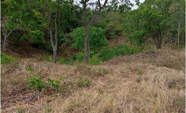 Lote Cerca Al Rio Bonda Santa Marta Colombia
