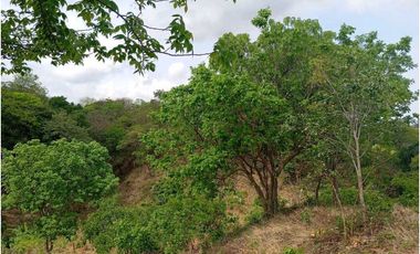 Lote Cerca Al Rio Bonda Santa Marta Colombia