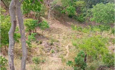 Lote Cerca Al Rio Bonda Santa Marta Colombia