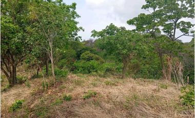 Lote Cerca Al Rio Bonda Santa Marta Colombia