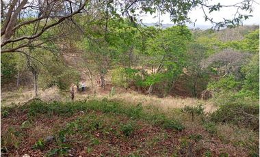 Lote Cerca Al Rio Bonda Santa Marta Colombia