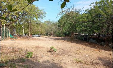 Lote En El sector La Paz Por Bello Horizonte Santa Marta Colombia