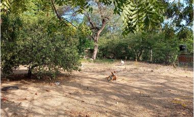 Lote En El sector La Paz Por Bello Horizonte Santa Marta Colombia