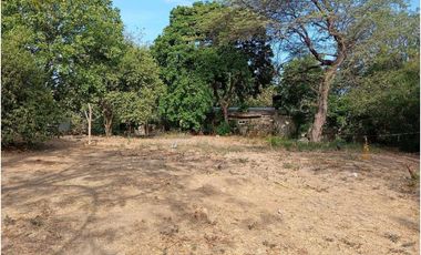 Lote en El Barrio La Paz Bello Horizonte Santa Marta Colombia