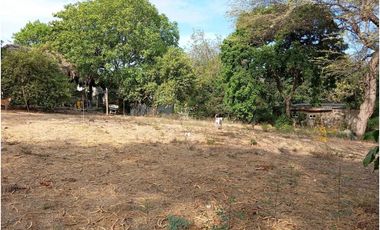 Lote en El Barrio La Paz Bello Horizonte Santa Marta Colombia