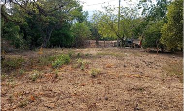 Lote en El Barrio La Paz Bello Horizonte Santa Marta Colombia