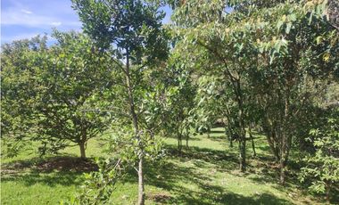 Hermoso lote, el Retiro, sector fizebad, exclusiva parcelación.