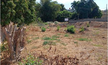 Lote cerca al aeropuerto Santa Marta Colombia