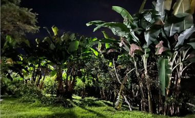 Finca independiente para la venta en Combia, Pereira!!