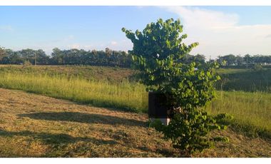 Se vende lote en Cerritos Pereira