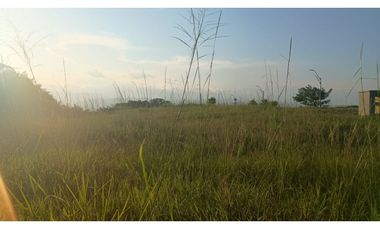 Se vende lote en Cerritos Pereira