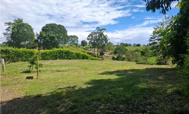 Se vende lote en Cartago Vía Alcala