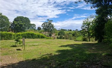 Se vende lote en Cartago Vía Alcala