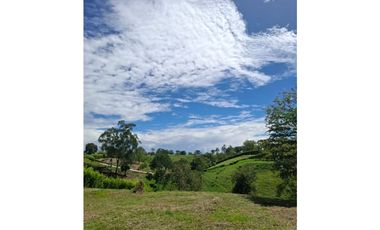 Se vende lote en Cartago Vía Alcala