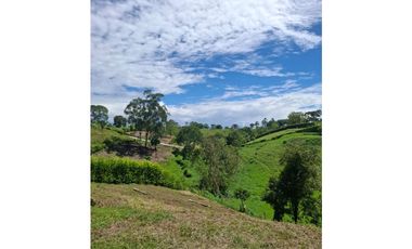 Se vende lote en Cartago Vía Alcala