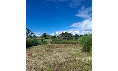 Se vende lote en Cartago Vía Alcala