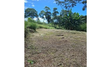 Se vende lote en Cartago Vía Alcala