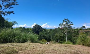Se vende lote en Cartago Vía Alcala