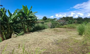 Se vende lote en Cartago Vía Alcala
