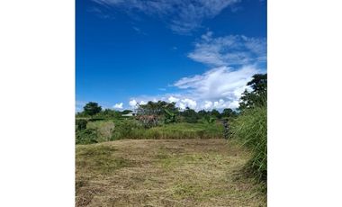 Se vende lote en Cartago Vía Alcala